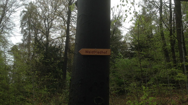 pathfinder