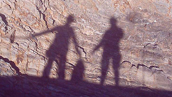 shadowplay